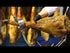 Pata Negra Jamón 100% Ibérico Bellota 100g